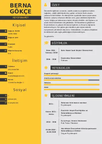 Fizyoterapist Cv Örnekleri cv indir